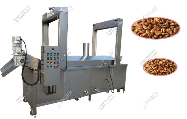 Continuous Frying Machine