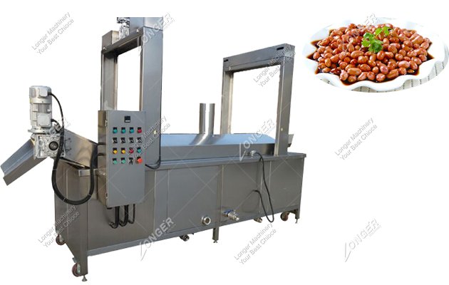 Continuous Frying Machine